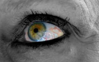 II Concurso de Fotografía Inclusiva