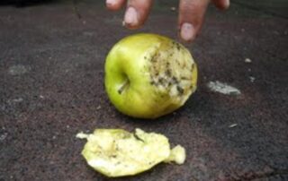 II Concurso de Fotografía Inclusiva